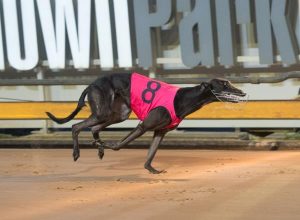 Six lengths to Crowe about