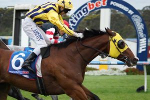 Three wins in a big wet
