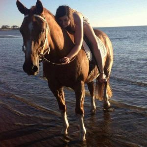 Family’s anguish after loved pet taken by horse rustlers
