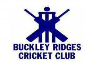 Top cricketers pad up for Nathan