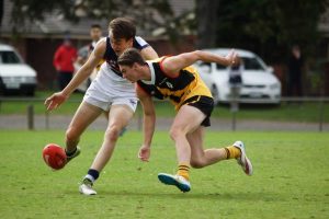 Stingrays off the mark