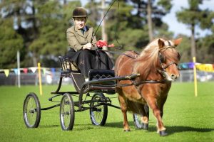Scottish and Celtic Heritage Day