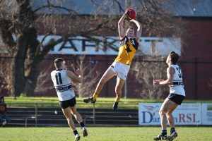 Stingrays’ talent goes deep