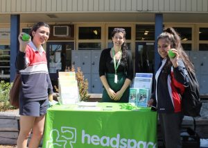 College’s mental health market, no stress