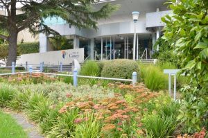 Council’s quick response
