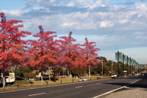 New-look boulevard dreams