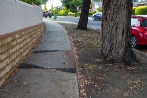 Tree action smooths path to happiness
