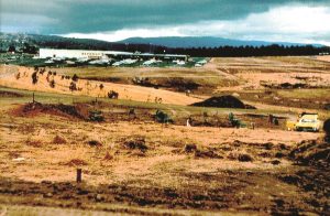 Shrinking suburb