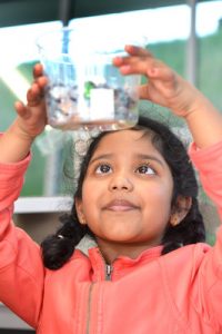 Library turns into science lab