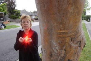 Pesky birds unmoved by laser attacks