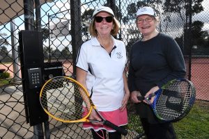 Tennis’s ‘net’ solution