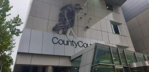 Pregnant armed robber jailed