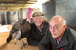 Betts keeps best in show