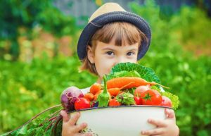 Your own garden grocery store