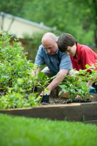 Grants for land care