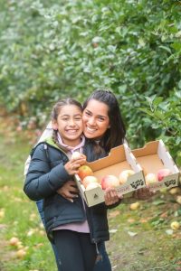 Apple Harvest Festival proves fruitful