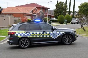 Mum dies in alleged stabbing