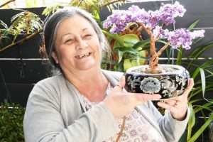 New life for bonsais