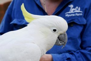 ‘Wind’ farm cuts emissions