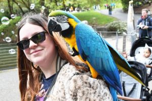 Wild wonders at Wilson Botanic Park