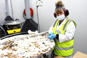 Charity’s clean new start in Dandenong