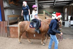 Coaches and horses needed at RDA
