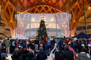 Students lead tree design
