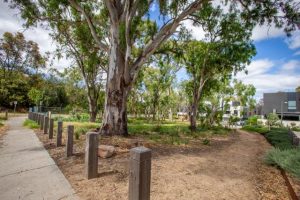 Yarraman ballot packs in the mail