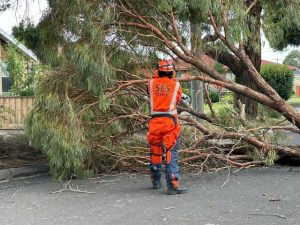 Storm-damaged parks closed
