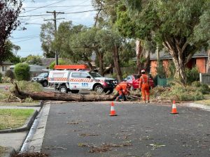 SES requests grow to 280