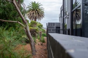 Tree-hacking probe continues