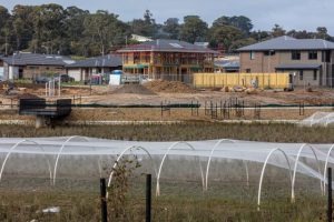Unchecked urban sprawl is eating our food bowl