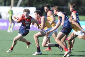Shipp and Frangalas earn VFL call-ups