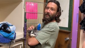 Smoky but alive, cats rise from the ashes