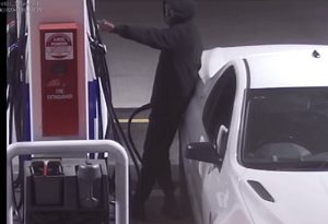 Ute stolen in Doveton agg burglary