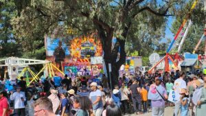 Call for Doveton Show volunteers