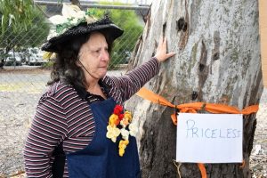 Call for Douglas St parkland