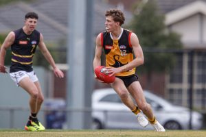 Stingrays stave off Bushrangers challenge