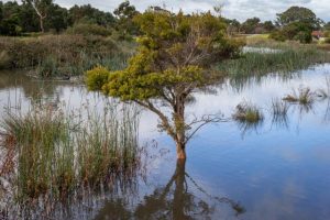 Keysborough Sth levy debate reignites