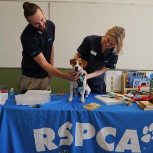 RSPCA offers free pet check-ups