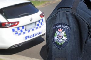Hundreds of car thieves arrested