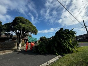 Storms wreak havoc in Greater Dandenong