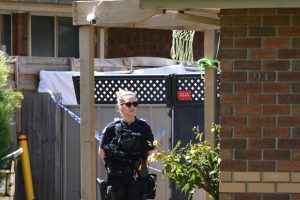 Critical dog attack: Council defends response to neighbours’ complaints