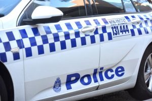 Three dogs shot dead after mauling woman in backyard