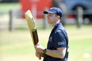 Bears growl as Lions and Tigers whimper