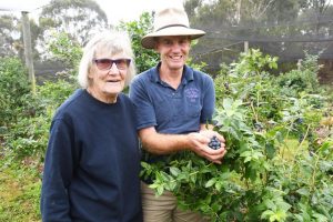 Over four decades of Blueberry heaven