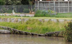 Kingswood Basin’s eroded banks investigated