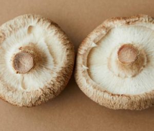 Devine mushrooms pizza’s hold the base
