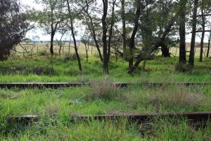 Clyde railway recommended in 30-year infrastructure strategy