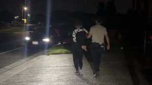 Eight charged in firearms trafficking bust